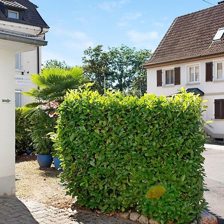 Bluehome Ferienwohnung Бад Белинген Екстериор снимка